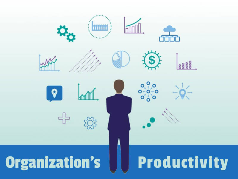 Increase Organization’s Productivity through ZingHR