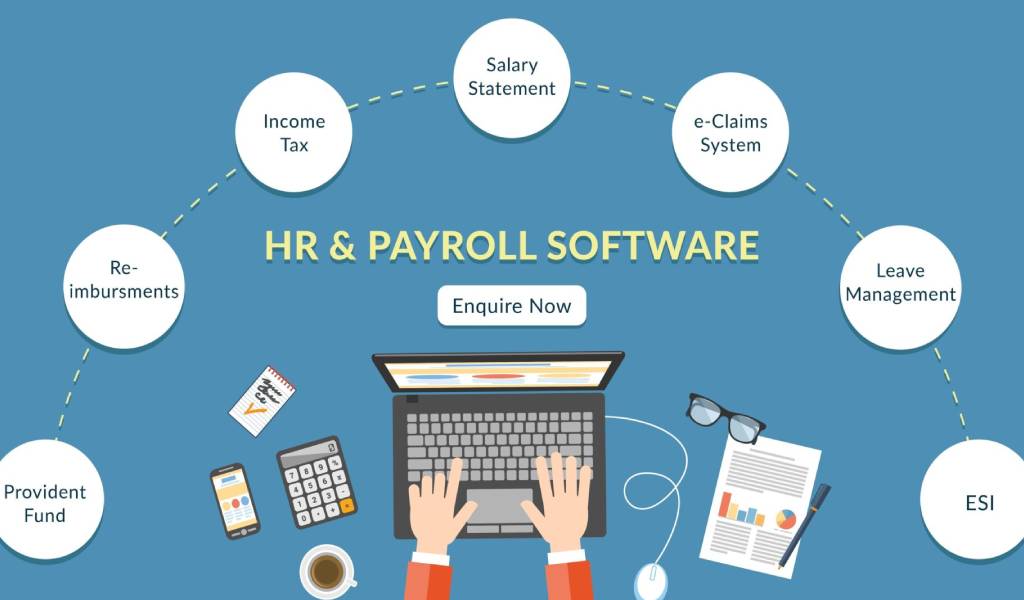 Reasons why SMEs in the UAE Should Opt for HR & Payroll Solutions