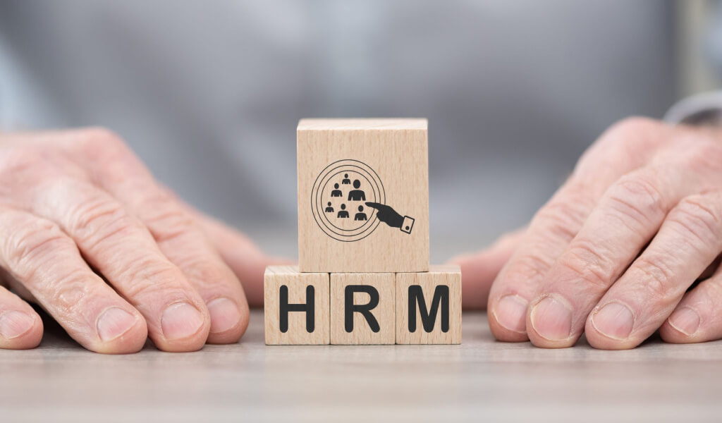 What are the 4 Types of Sustainable HRM?